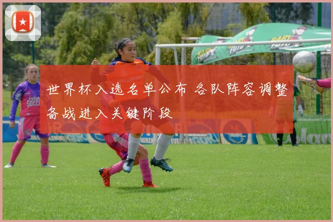 世界杯入选名单公布 各队阵容调整备战进入关键阶段